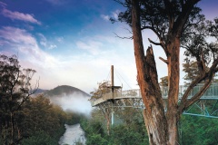 Tahune Airwalk
