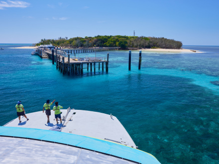 reef tour qld