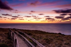 Boar Walk on Phillip Island 