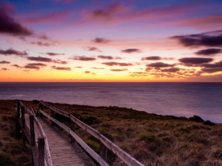 philip island boat tour