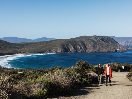 penguin tours bruny island