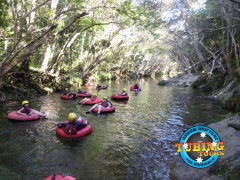 Cairns River Tubing