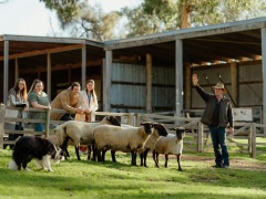 Churchill Island Heritage Farm