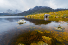 Cradle Mountain Day Tour from Burnie