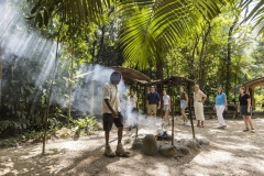 Daintree Dreaming Tour