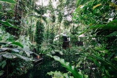 Daintree Eco Lodge