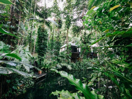 daintree rainforest tourism impacts