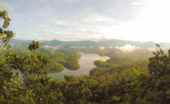 Daintree River