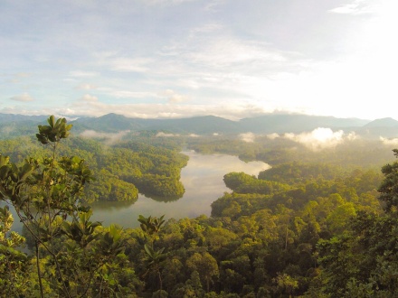 daintree rainforest tourism impacts