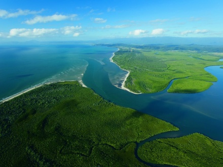 daintree rainforest tourism impacts