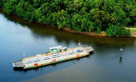 daintree rainforest cruises