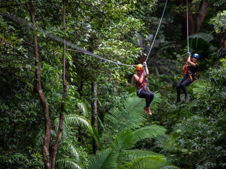 daintree rainforest tourism impacts