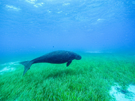 reef tour qld