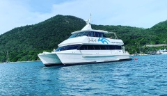 Dunk Island Transfers