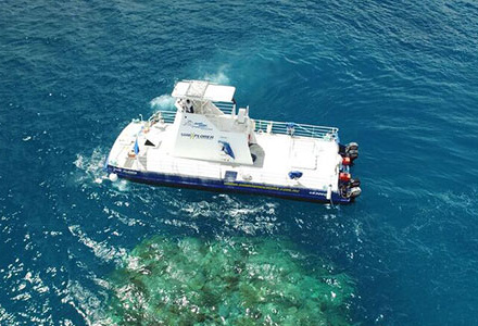 cairns great barrier reef day tours