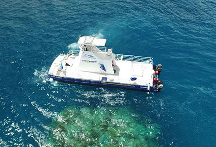 reef trip from cairns