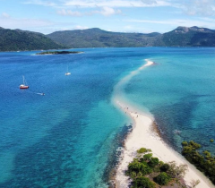 Langford Island Sandbar Tour