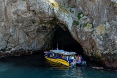 Maria Island Cruise
