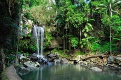 Mount Tamborine 