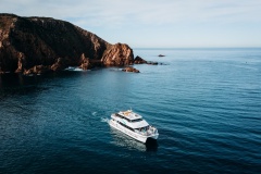 Phillip Island Seal Cruise