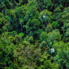 Picture of a Skyrail gondala above the rainforest canopy.