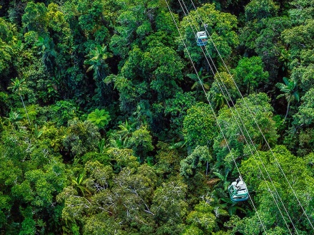 kuranda skyrail scenic railway and rainforestation day tour