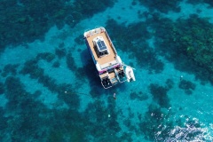 Pure Snorkeling Cairns