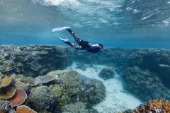 Pure Snorkelling Cairns