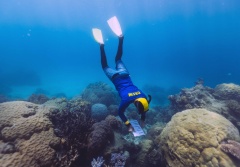 Quicksilver Reef Protection Initiative