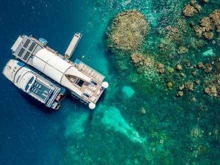 barrier reef tours out of cairns