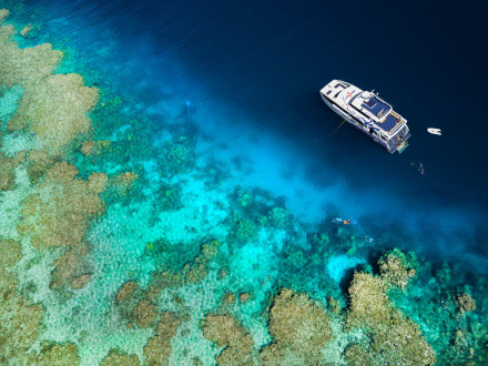 barrier reef tours out of cairns