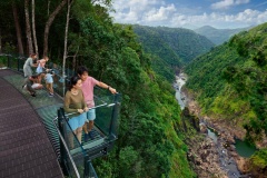 Skyrail Boardwalk