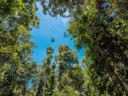 kuranda skyrail travel time