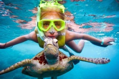 Snorkeling with  Sea Turtle