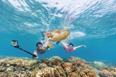 Sunlover Reef Cruises