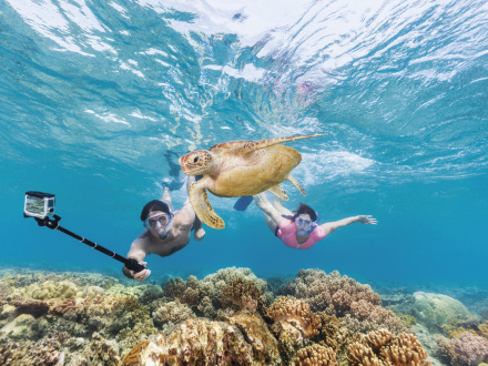 cairns tour great barrier reef