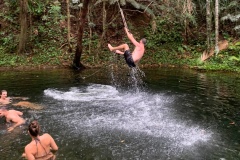 Swimming at the Daintree Rainforest