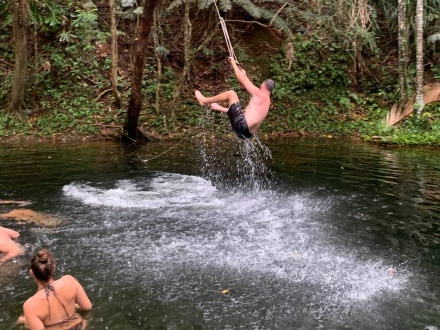 daintree rainforest tourism impacts