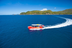 Thundercat Whitsundays
