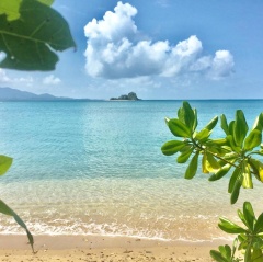 View through the trees of the ocean at Dunk Island