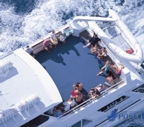 Poseidon Reef Tour from Port Douglas