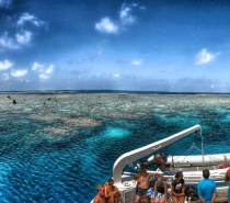 Agincourt ribbon reefs offer some of the most pristine and special places on the entire Great Barrier Reef