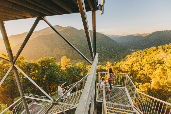 Mamu Canopy Walk