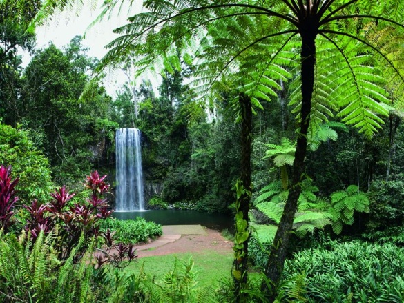 Millaa Millaa Falls