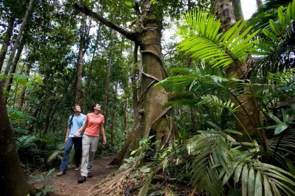 mossman gorge
