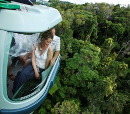Skyrail Gondola