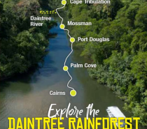 Experience the rainforest intimately on one of our guided elevated National Park Boardwalks