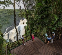 Skyrail Rainforest Cableway Boardwalk