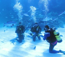 you’ll be able to experience the excitement of scuba diving whilst under very close supervision of an instructor