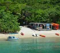 The Beach Shack at Fitzroy Island